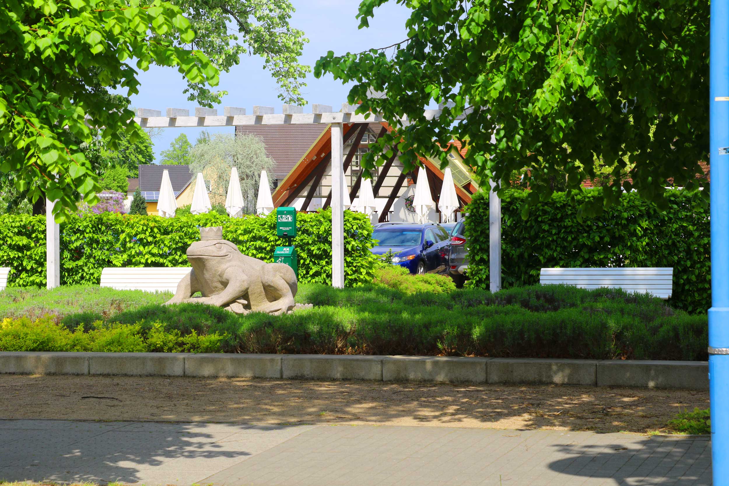 Froschkönig in Burg Zentrum