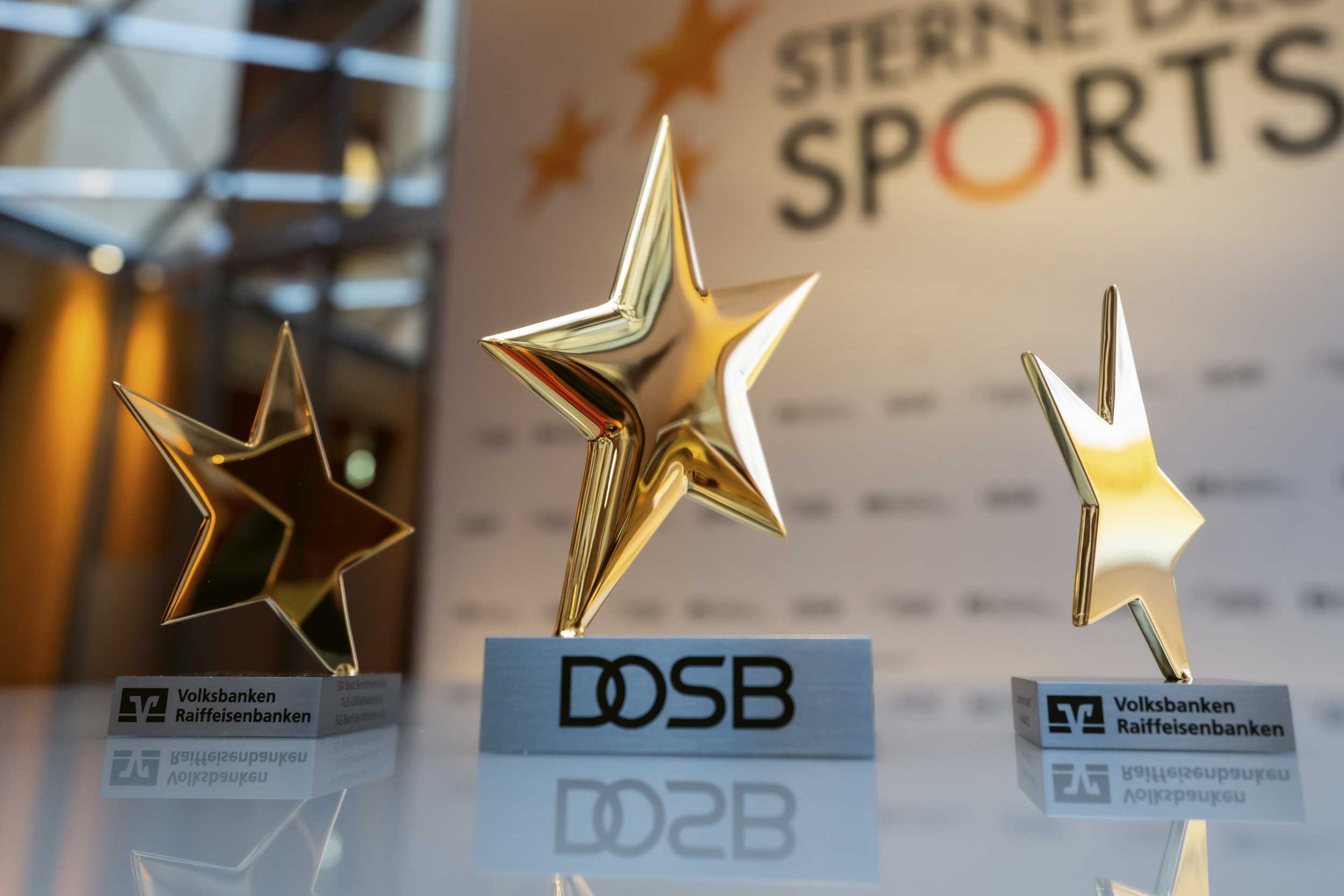 Auszeichnung Sterne des Sportss