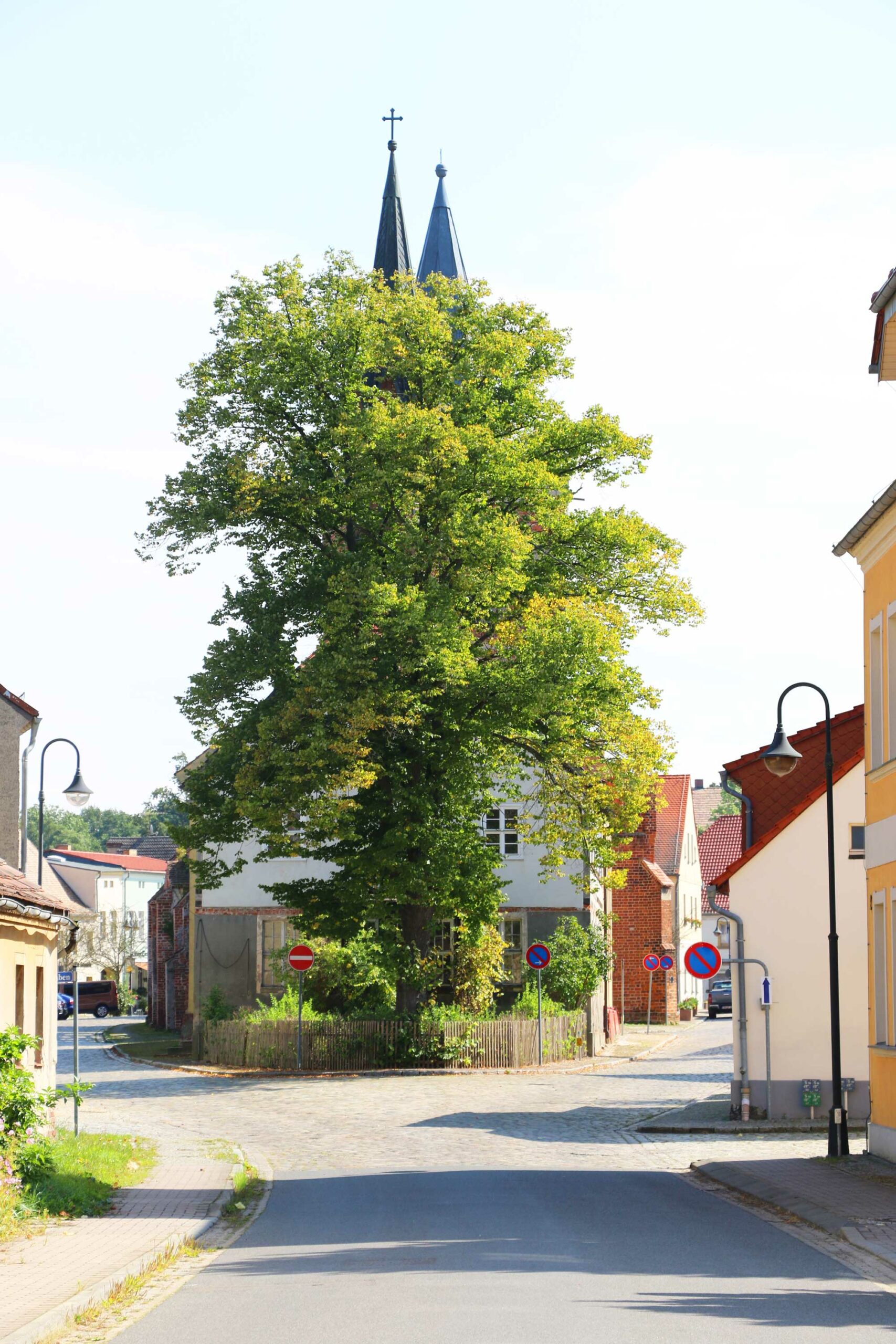 Lieberose