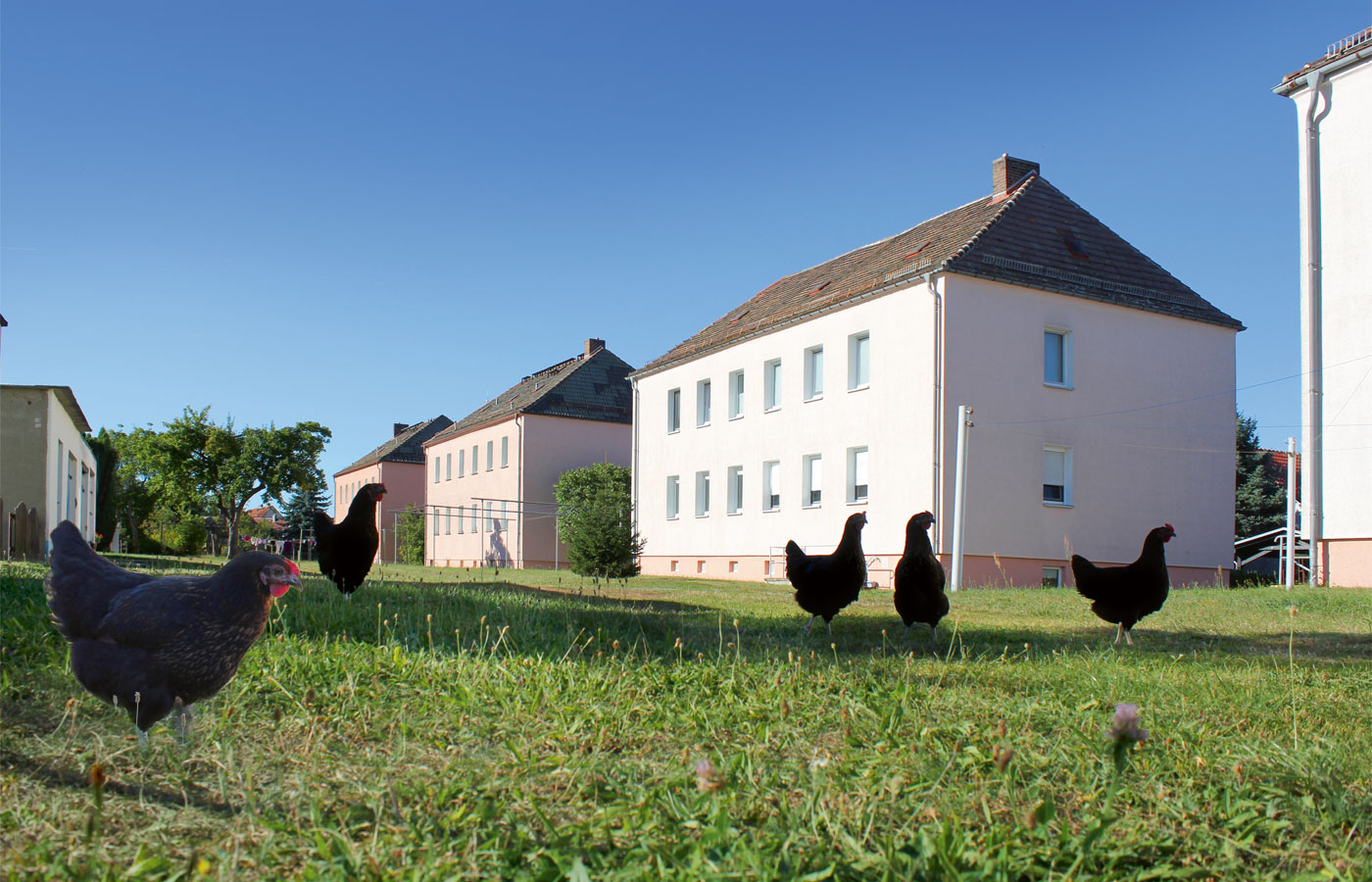 Wohngebäude in Krieschow mit Hühnern im Vordergrund
